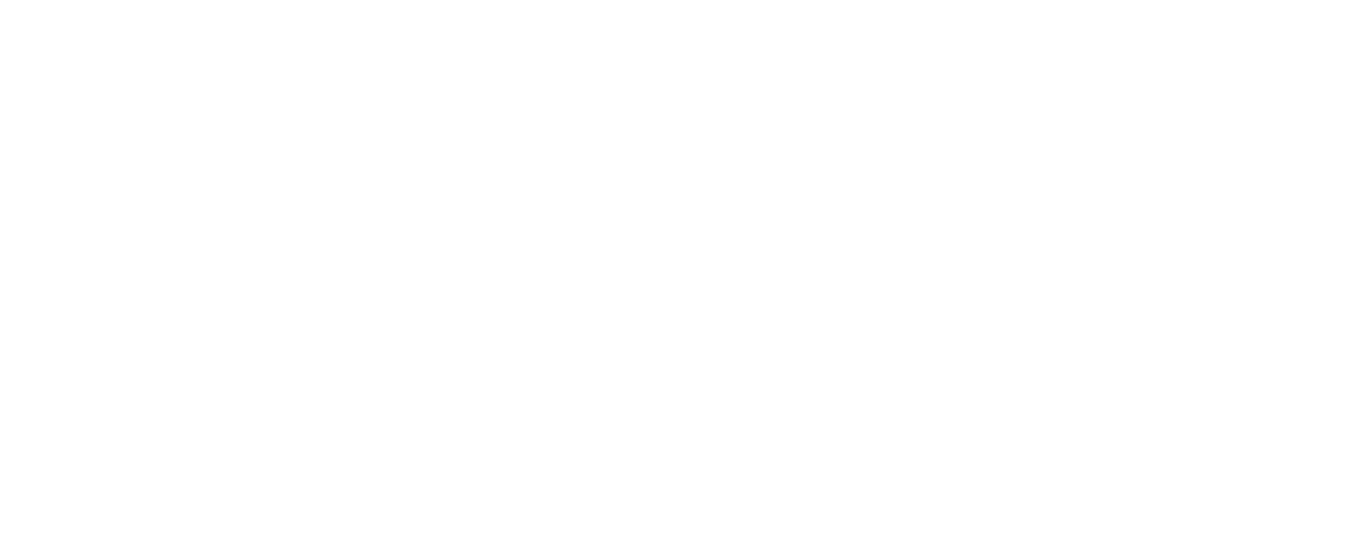 Acecom vit